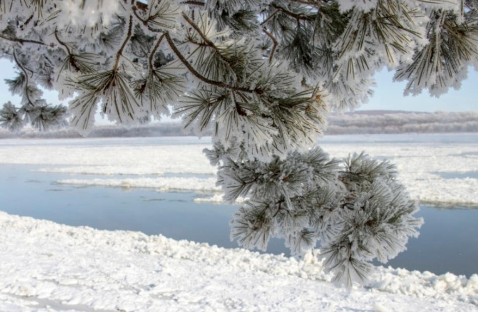 黑龍江呼瑪：霧凇美景醉游人